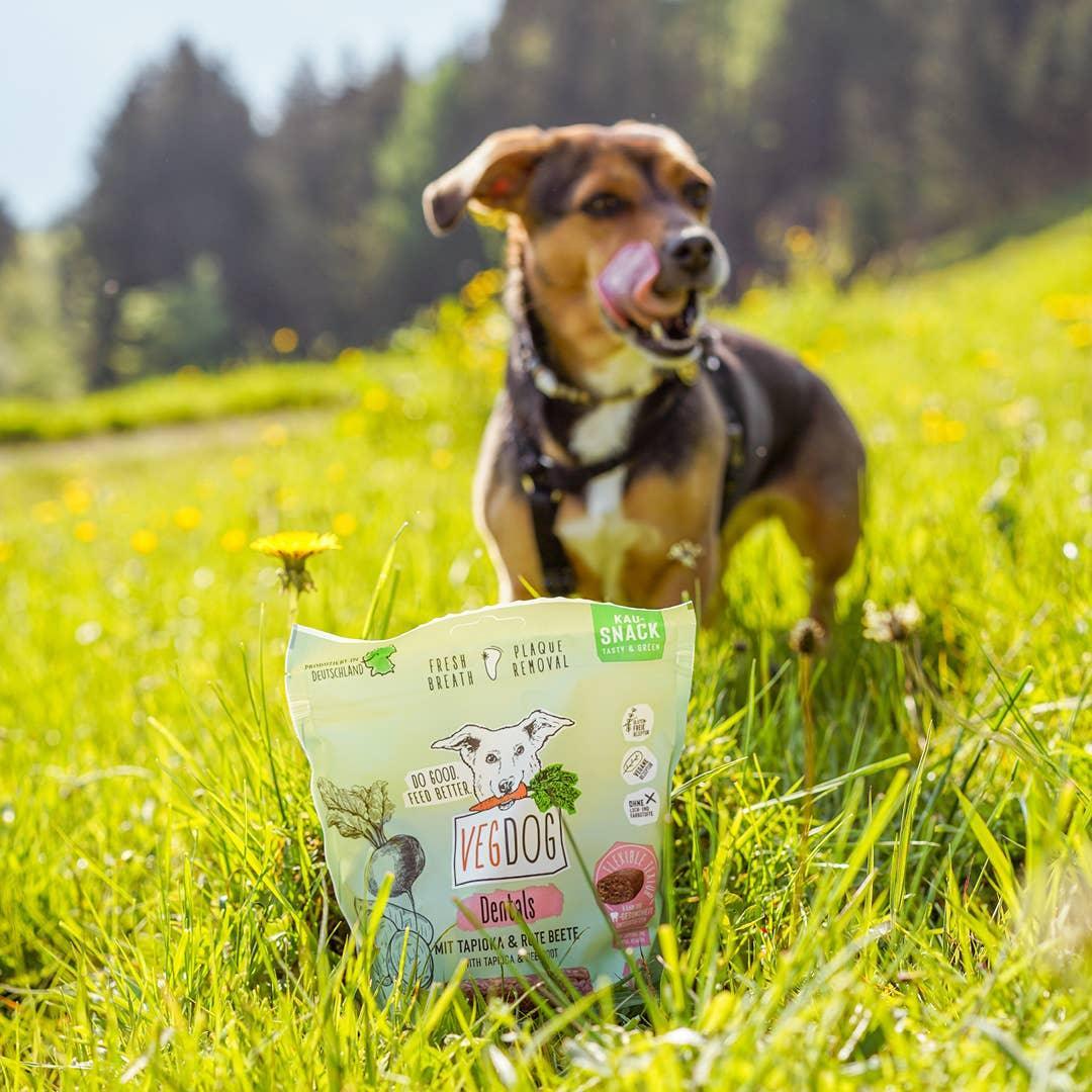 TANDHEELKUNDIGE PRODUCTEN 120 g - VEGDOG - VeganHondenvoer.nl