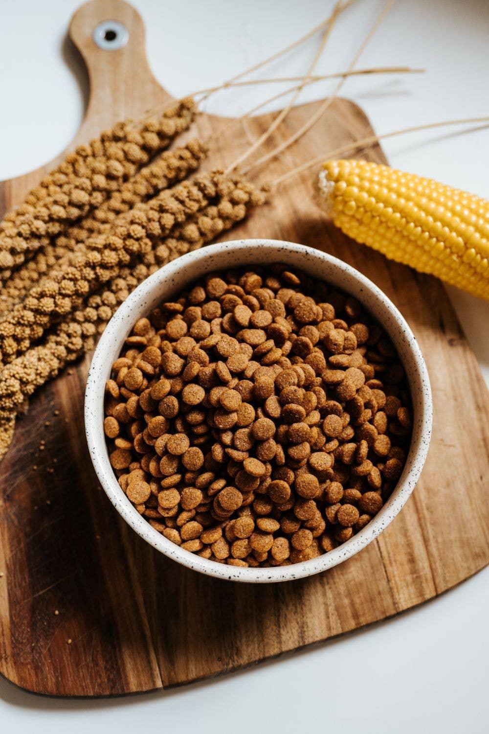 SIMPLY CRUNCH Droogvoer - VEGDOG - VeganHondenvoer.nl