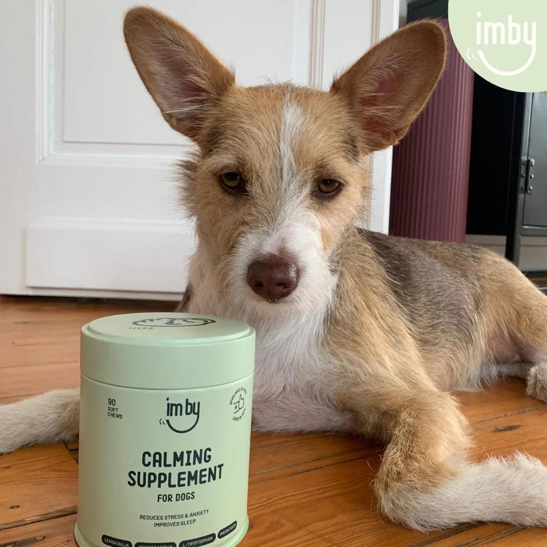 Imby Calming Supplement - Anti-Stress - IMBY - VeganHondenvoer.nl