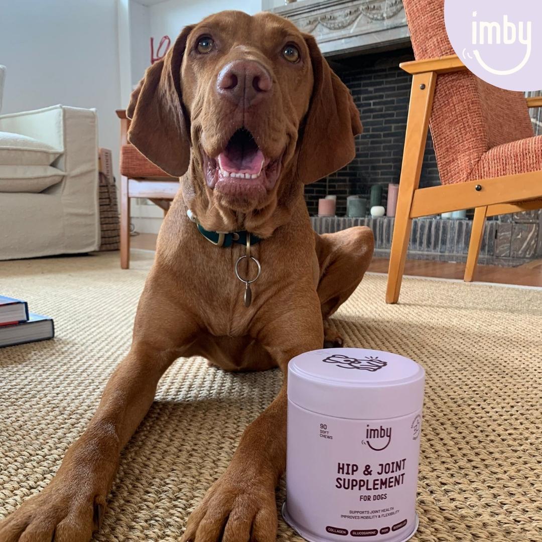 Imby Hip and Joint Supplement - Gewrichten - IMBY - VeganHondenvoer.nl