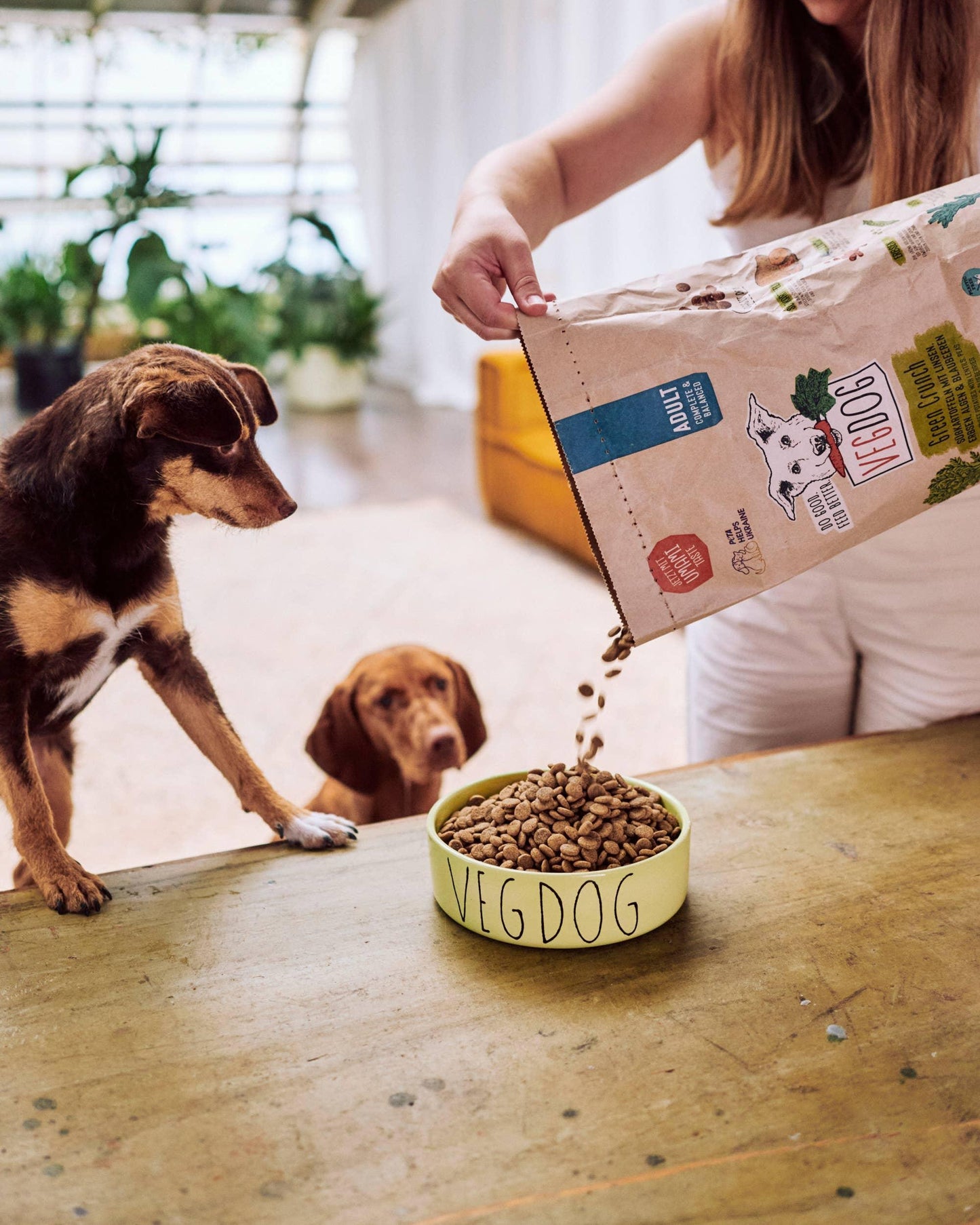 GREEN CRUNCH droogvoer - VEGDOG - VeganHondenvoer.nl