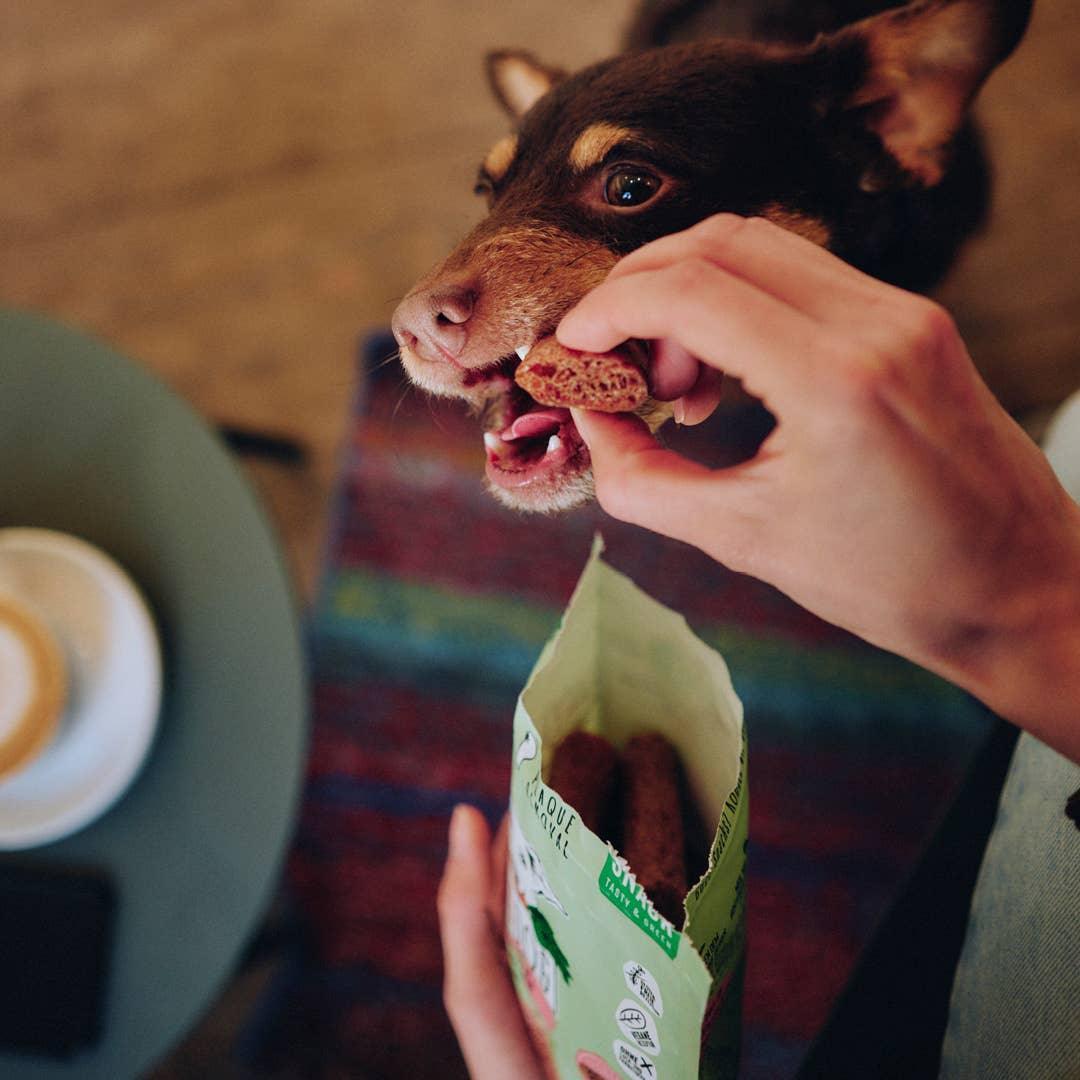 TANDHEELKUNDIGE PRODUCTEN 120 g - VEGDOG - VeganHondenvoer.nl
