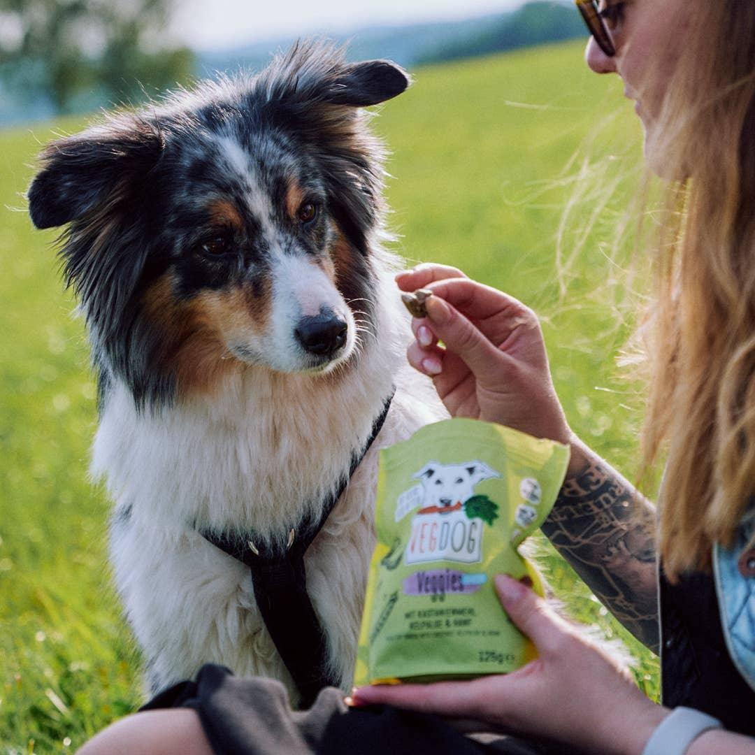 VEGGIES huidverzorging 125g - VEGDOG - VeganHondenvoer.nl