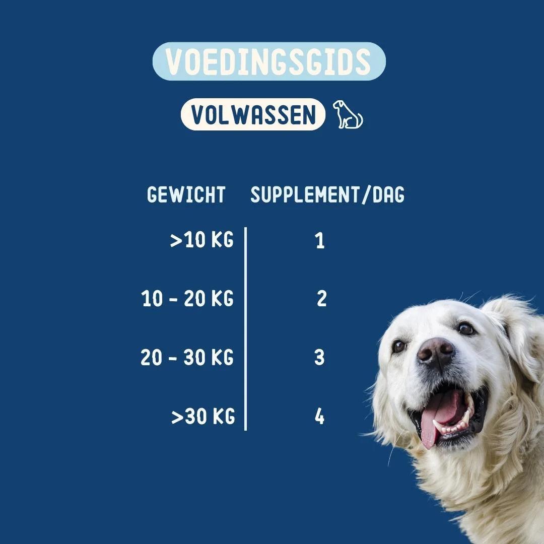 Imby Probiotica Supplement - Probiotica - IMBY - VeganHondenvoer.nl