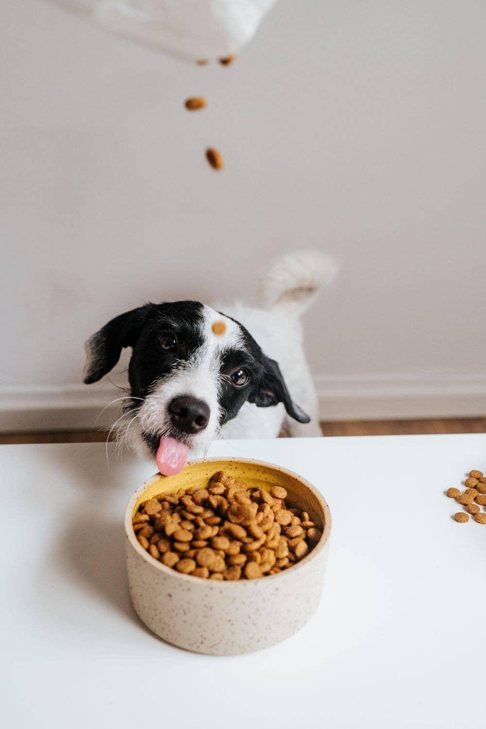 SIMPLY CRUNCH Droogvoer - VEGDOG - VeganHondenvoer.nl