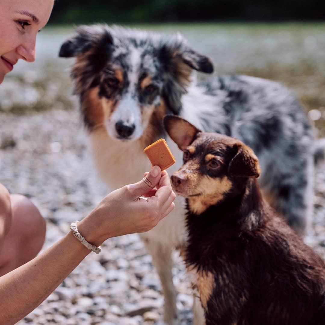 JERKEYS 80 g - VEGDOG - VeganHondenvoer.nl