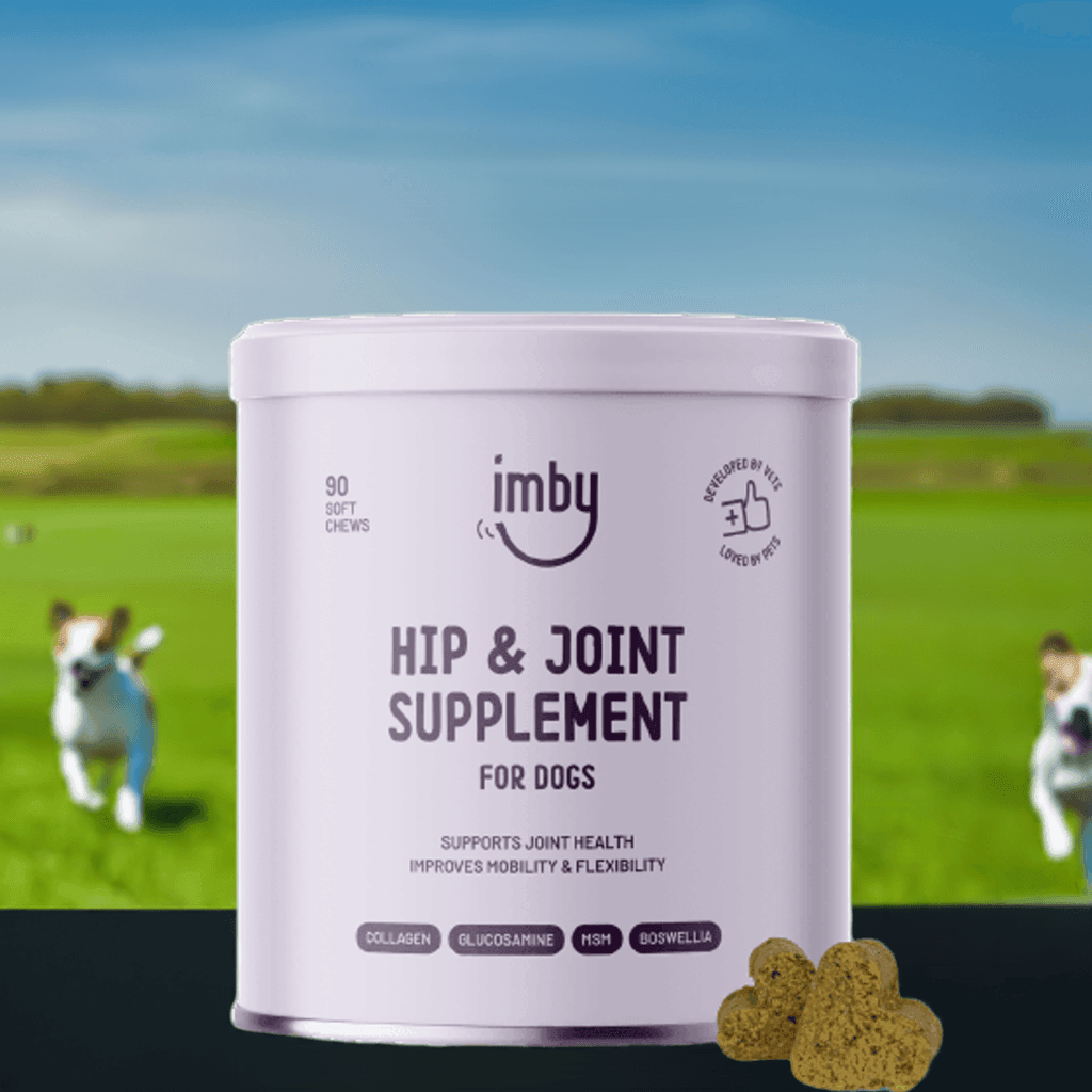 Imby Hip and Joint Supplement - Gewrichten - IMBY