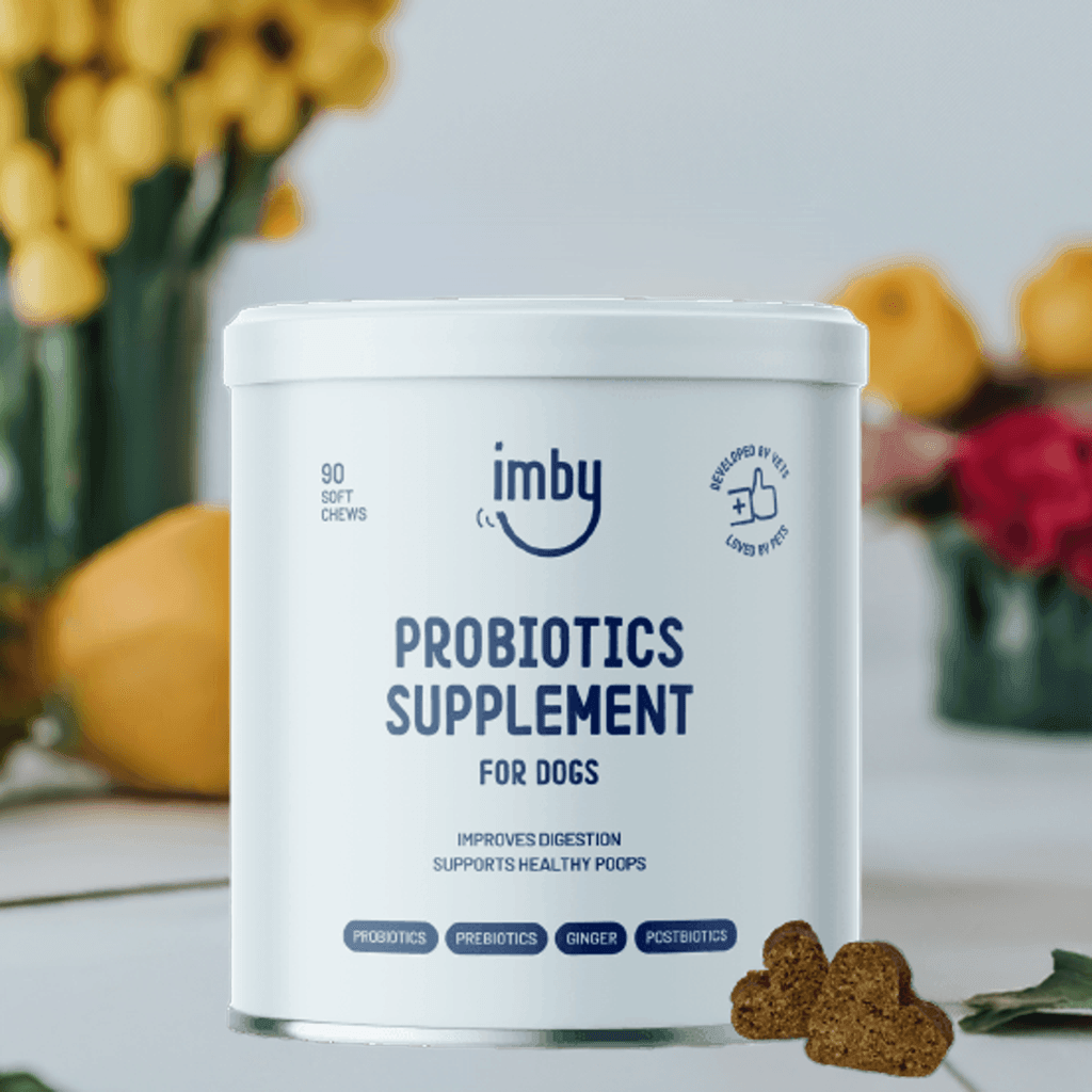 Imby Probiotica Supplement - Probiotica - IMBY