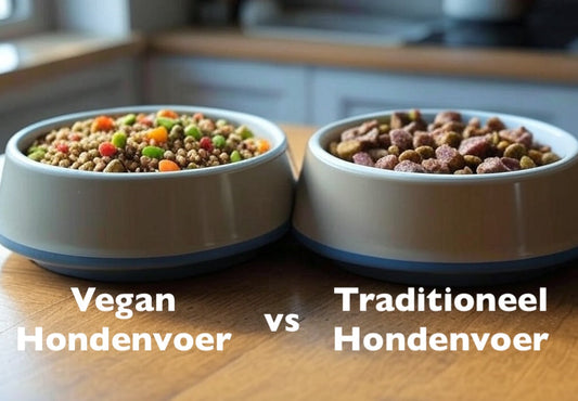 Vegan Hondenvoer versus Traditioneel Hondenvoer: een objectieve vergelijking