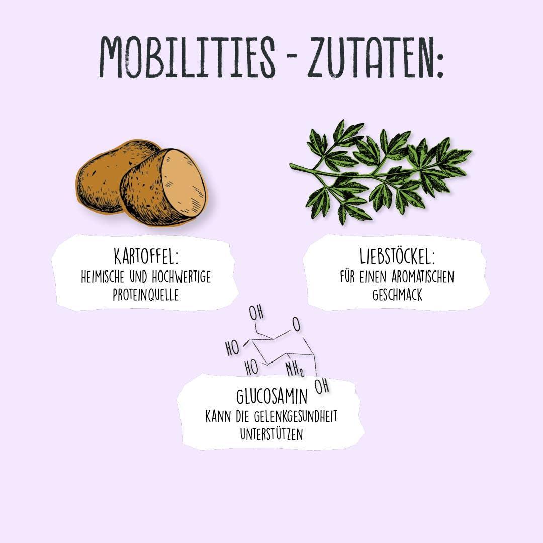 MOBILITEITEN 115g - VEGDOG - VeganHondenvoer.nl