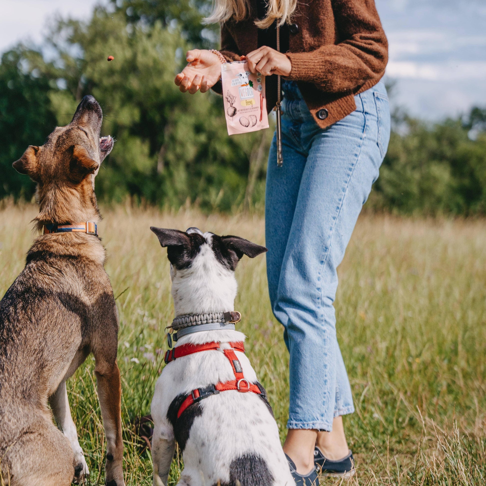 RUNDVLEES 80 g - VEGDOG - VeganHondenvoer.nl