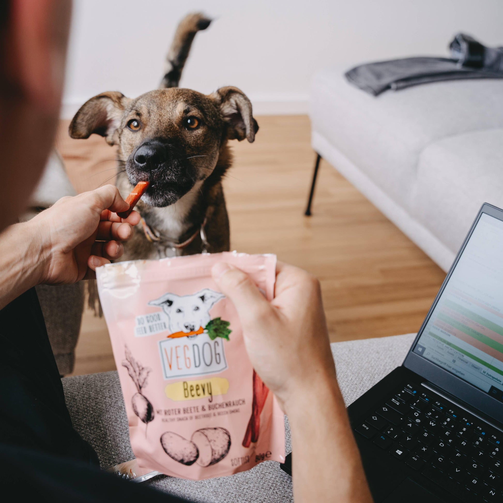 RUNDVLEES 80 g - VEGDOG - VeganHondenvoer.nl